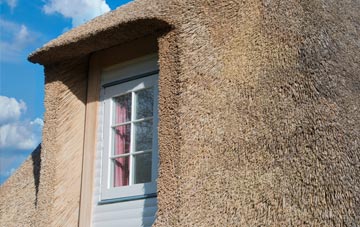 Traboe thatch roof disadvantages
